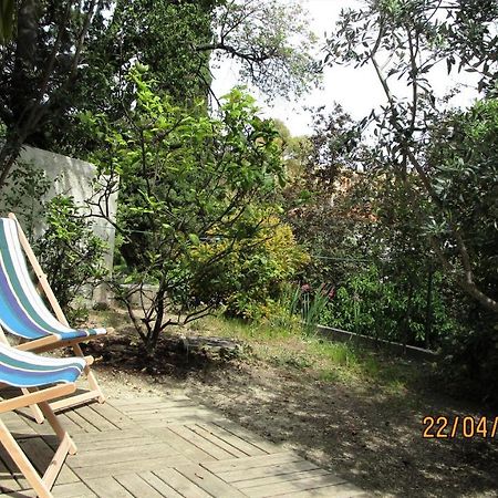 Nice - Studio Independant En Villa - Mer Ville Calme Jardinet מראה חיצוני תמונה