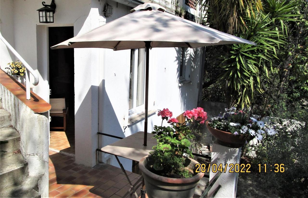 Nice - Studio Independant En Villa - Mer Ville Calme Jardinet מראה חיצוני תמונה